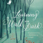 Book cover for Learning to Walk in the Dark