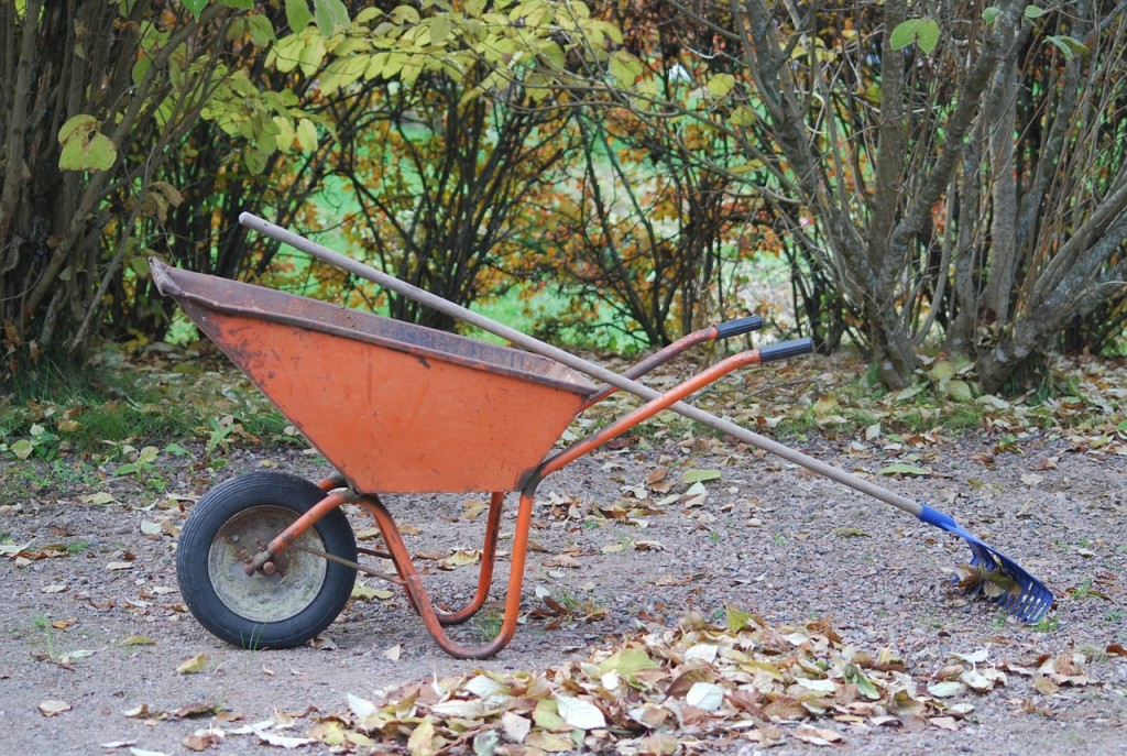 Picture of a wheelbarrow